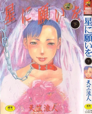 [Tenjiku Rounin] Hoshi ni Negai o Ge manga cover