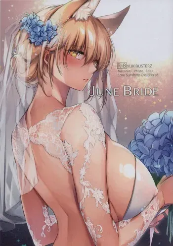 (C94) [Kodomo Beer (Yukibuster Z)] JUNE BRIDE Maternity Photo Book [korean] manga cover