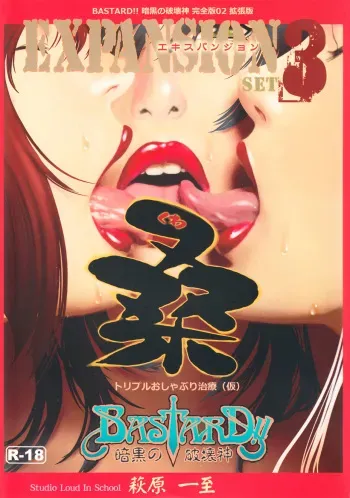 [STUDIO LOUD IN SCHOOL (Hagiwara Kazushi)] BASTARD!! -ANKOKU NO HAKAIGAMI- KANZENBAN 02 EXPANSION SET (Bastard! Ankoku no Hakaigami) manga cover