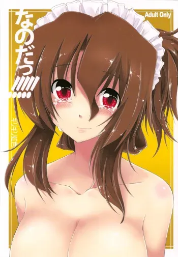 (C78) [GiriGiri Nijiiro (Kamino Ryu-ya)] Nanoda!!!!! + Omake (Hayate no Gotoku) [English] [UNANIMAS] manga cover