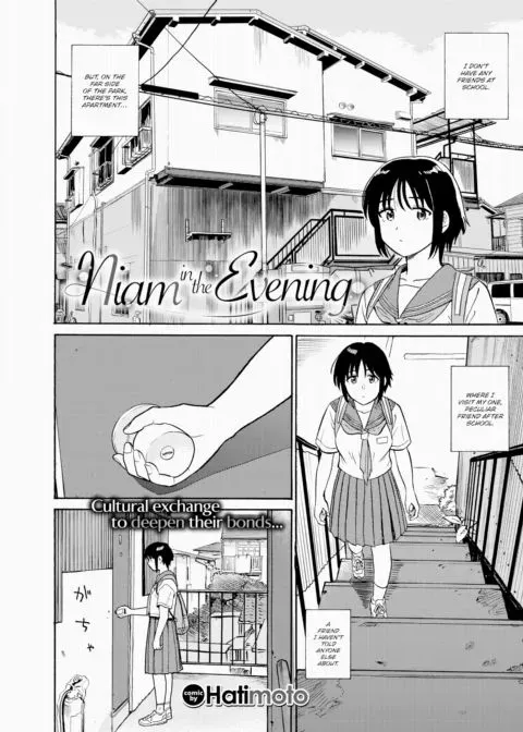 Niam in the Evening manga cover