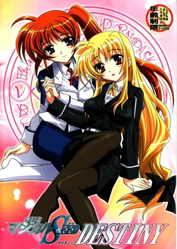 (ComiComi11) [PLUM (Kanna)] Mahou Shoujo Magical SEED DESTINY (Mahou Shoujo Lyrical Nanoha) manga cover