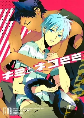 Kimi to nekomimi manga cover