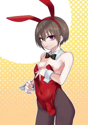 バニーしいな君 manga cover