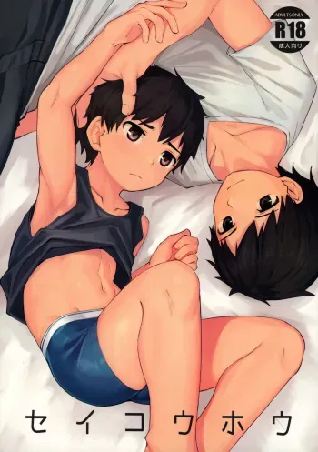 Seikouhou manga cover