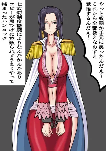 [神仙] 無敵奴隷ハンコック (ワンピース) manga cover