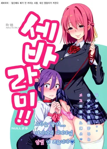 (Futaket 12) [NULL Mayu (Chimosaku)] Sebarami! | 세바라미!! [korean] manga cover