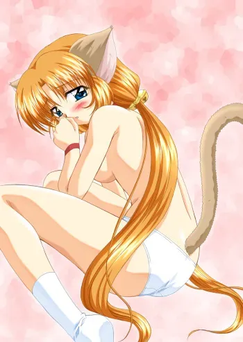 [Buta no Hidume] Hatsujou Nekomusume manga cover