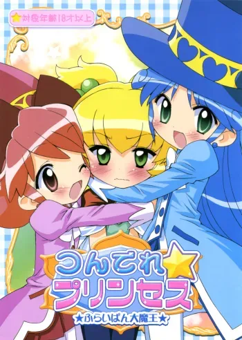 Tsundere Princess manga cover