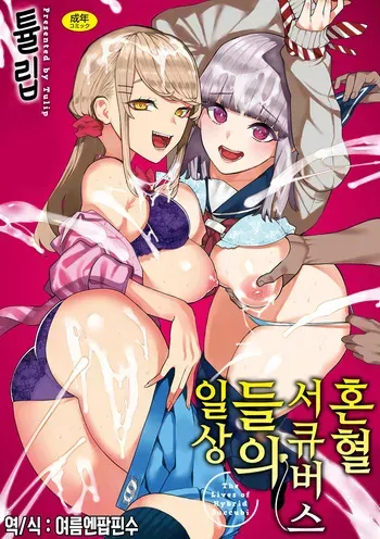 [Tulip] Konketsu Succubus tachi no Nichijou | 혼혈 서큐버스들의 일상 [Korean] [Digital] manga cover