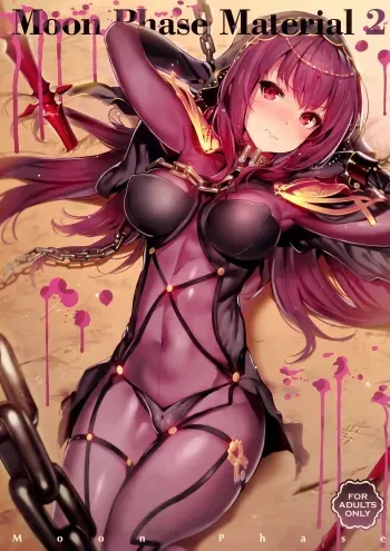 (C92) [MoonPhase (Yuran)] Moon Phase Material 2 (Fate/Grand Order) [English] [Fizzicle] manga cover