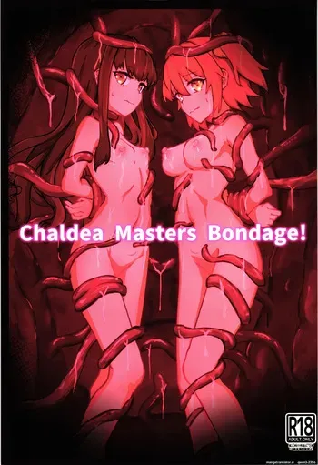 (C105) [NeonSIgn (SIsho)] Chaldea Masters Bondage! (Fate/Grand Order) (SCANMTL) manga cover