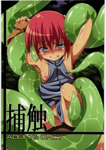 (C78) [Al Dente (Tsuna)] Hoshoku manga cover