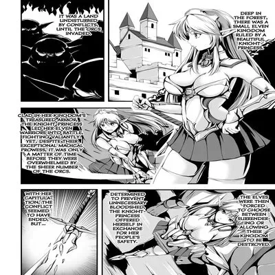 Invasion ~The Fallen Knight-Princess~ [Original] manga cover