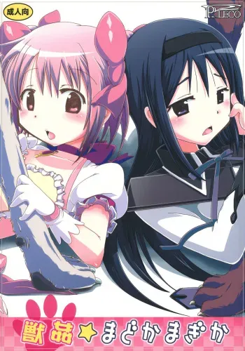 (C80) [PLECO (Chikiko)] pleco-de;T "Juukan Madoka Magica" (Puella Magi Madoka Magica) manga cover