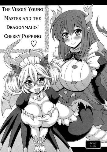 Dotei botchan to doragon meido no fudeoroshi manga cover