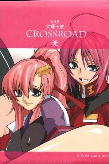 (C68) [Kouchaya (Ootsuka Kotora)] crossroad Hikari (Gundam SEED DESTINY) manga cover