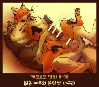 (Kansai! Kemoket 4) [Maririn] Tanuki x Kitsune | 젊은 여우와 문란한 너구리 [Korean] [Digital] manga cover
