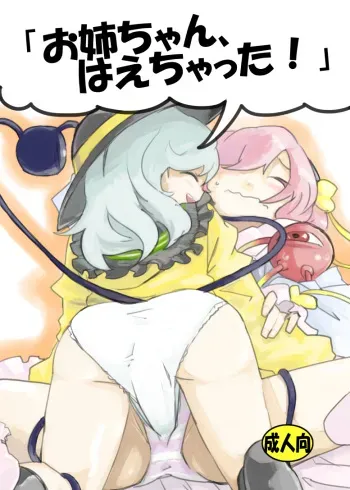 [Saperon Black (Sape)] Onee-chan, Haechatta! (Touhou Project) [Digital] manga cover