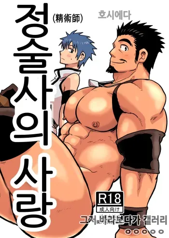 [Hoshiedatei (Hoshieda)] Seijutsushi no Koi | 정술사의 사랑 [Korean] [Digital] manga cover