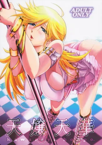 Tenjou Tenge manga cover