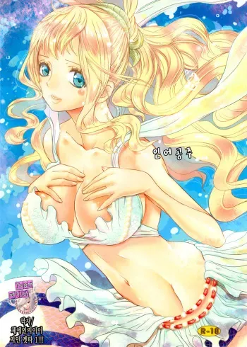 (C80) [Queen Of VANILLA (Tigusa Suzume)] Ningyohime (One Piece) [Korean] [Team 아키바] manga cover