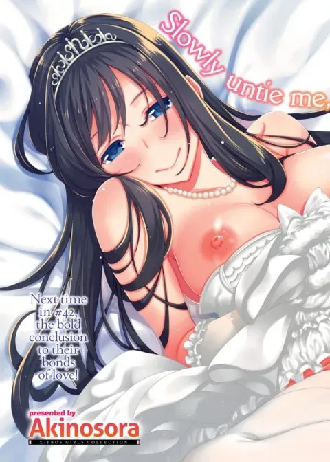 X-Eros Girls Collection #41: Akinosora manga cover