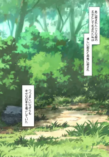 [Wataridori] Bokoku no Hime wa Tekkoku Nite Dorei to Naru manga cover