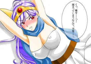 [Inran Teddy Bear] DraQue Onna Kenja no Binkan na Tokki o Ijikurimawashite mita (Dragon Quest III) manga cover