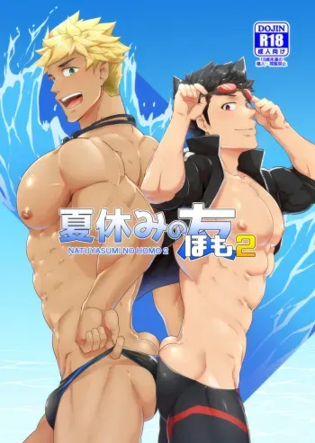 Natsuyasumi no Homo 2 manga cover