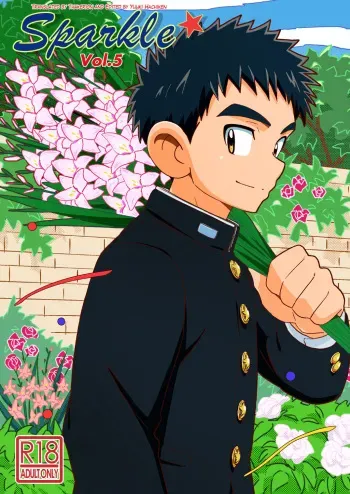 Sparkle Vol. 5 manga cover
