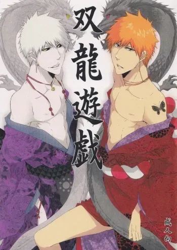 Souda Yuugi | Play of the twin dragons manga cover
