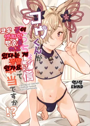 [Hakuto-can (Momose Sumomo)] Kou-kun ga Ecchi na Haishin Shiteru tte Hontou desu ka!? | 코우 군이 엣찌한 방송을 하고 있다는 게 정말 인가요!? (Granblue Fantasy) [Korean] [LWND] manga cover