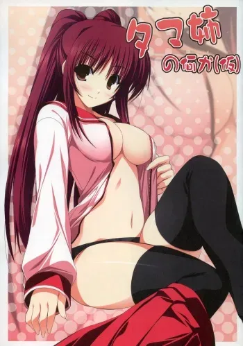 (C73) [RADIANT (Yuuki Makoto)] Tama-nee no Nanika(Kari) (ToHeart 2) manga cover