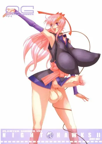 (C69) [HGH (HG Chagawa)] Pleated Gunner #14 - Night Hawks 2 (Gundam SEED DESTINY) manga cover