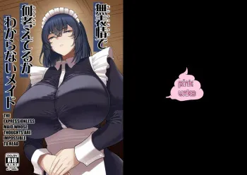Muhyoujou de Nani Kangaeteru ka Wakaranai Maid manga cover