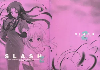 (C66) [Renai Mangaka (Naruse Hirofume)] SLASH 2 Side B (Fate/stay night) manga cover