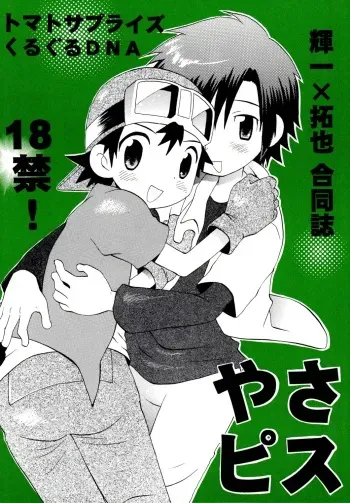 [KuruGuru DNA (Hoshiai Hilo)] YasaPis (Digimon Frontier) manga cover