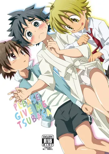 Tsubasa wo Kudasai manga cover