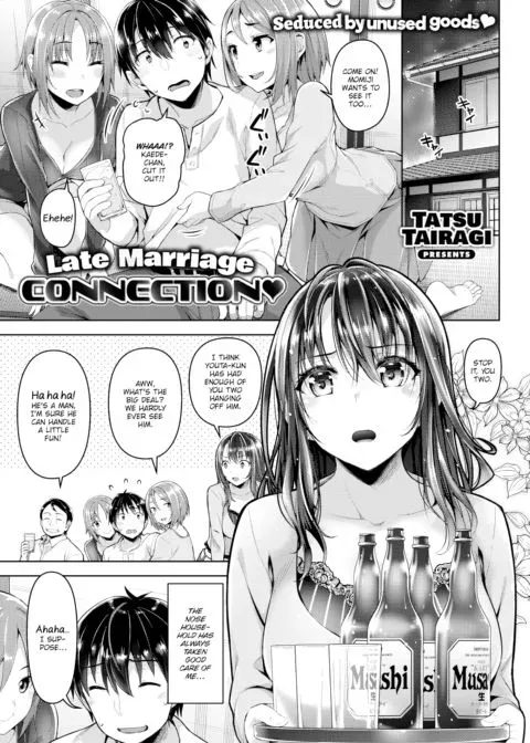 Late Marriage Connection manga cover