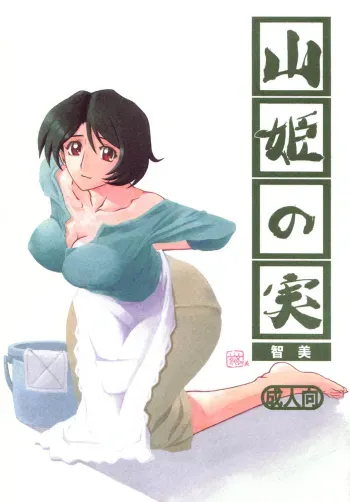 Yamahime No Mi Satomi 1-2 manga cover
