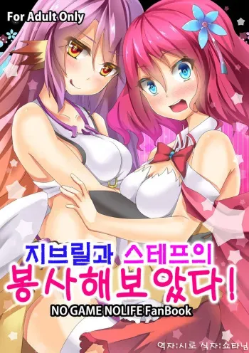 【C86新刊】ノゲノラの薄い本【ジブリ&ステフ】 no game no life sample (korean) manga cover