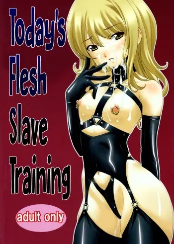 (C88) [Tairikukan Dandoudan Dan (Sakura Romako)] Honjitsu no Nikudorei Choukyou | Today's Flesh Slave Training [French] manga cover