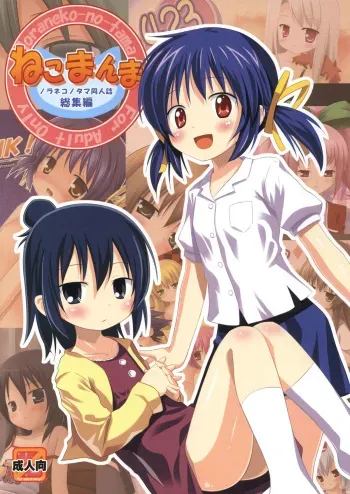 (COMIC1☆5) [Noraneko-no-Tama (Yukino Minato)] Neko Manma (Various) manga cover