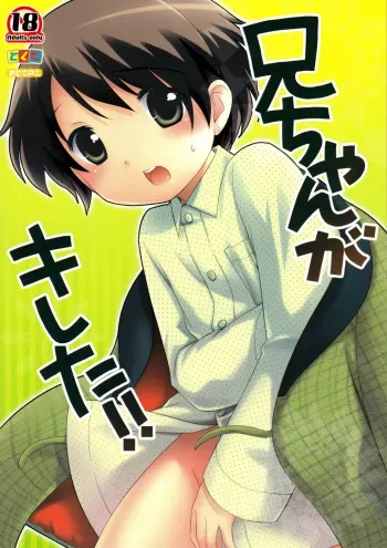(C71) [Tokuda (Ueda Yuu)] Nii-chan ga Kireta!! | Nii-chan Got Mad [English] [Shadoukun & Sari] [Decensored] manga cover