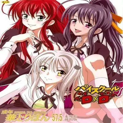 Seinen hana to ribon 57. 5 Paisukuru DxD [Doujinshi] manga cover