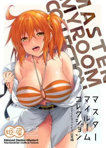 [Himeya (Abe Inori)] Master My Room Collection (Fate/Grand Order) [Digital] manga cover