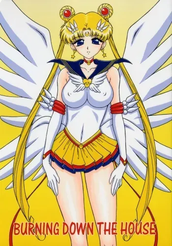 (C66) [Black Dog (Kuroinu Juu)] Burning Down the House (Sailor Moon) [German] {deutsche-doujins} manga cover