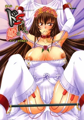 (C78) [Nozarashi (Nozarashi Satoru)] Do-S na Hime wa Kegasareru Haji no Nana - Ryoujoku Hirouen manga cover