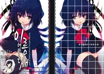 (C78) [super:nova (Yukimachi Tounosuke)] Na Mo Naki Tori - The bird without name in forest of grief. (Touhou Project) (korean) manga cover